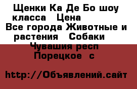 Щенки Ка Де Бо шоу класса › Цена ­ 60 000 - Все города Животные и растения » Собаки   . Чувашия респ.,Порецкое. с.